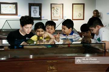 _R3A4977 copy